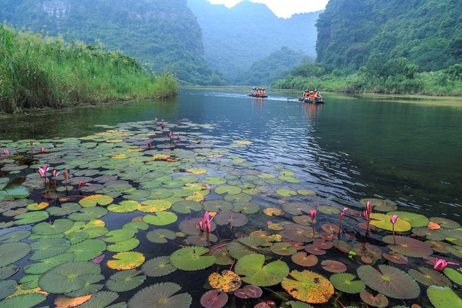 THE PEACEFUL AUTUMN ON NGO DONG RIVER